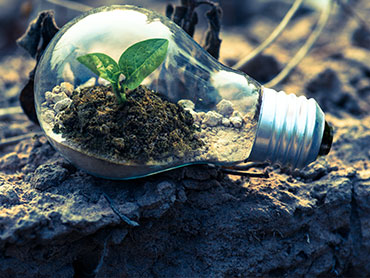 Stampi ad iniezione green